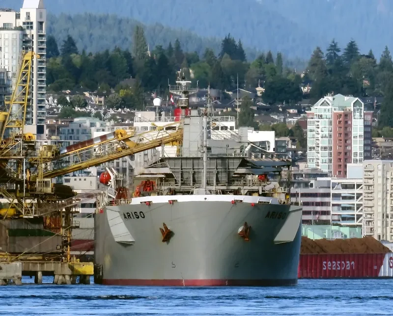 MAGIC PEARL Bulk Carrier IMO 9145683