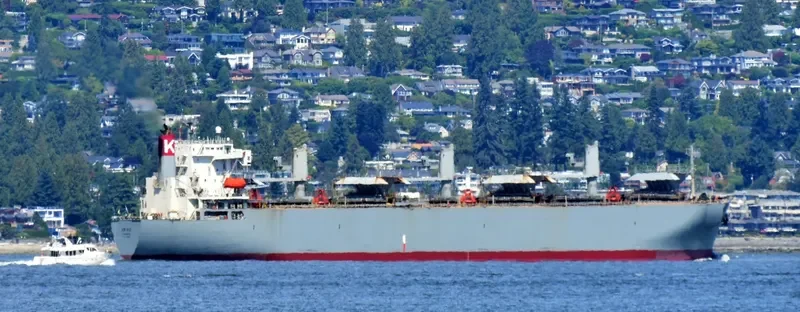MAGIC PEARL Bulk Carrier IMO 9145683 photo 3