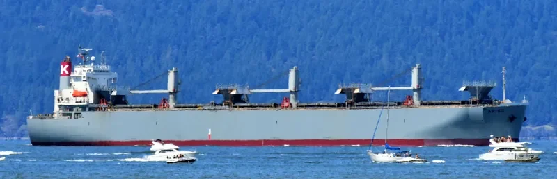 MAGIC PEARL Bulk Carrier IMO 9145683 photo 4