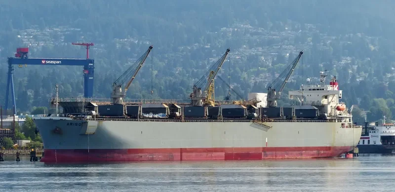 MAGIC PEARL Bulk Carrier IMO 9145683 photo 5