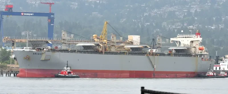 MAGIC PEARL Bulk Carrier IMO 9145683 photo 6