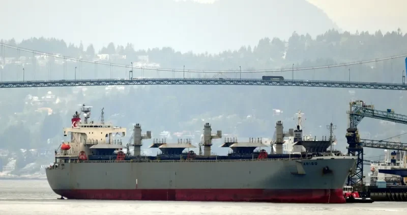 MAGIC PEARL Bulk Carrier IMO 9145683 photo 7
