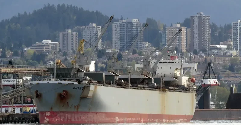 MAGIC PEARL Bulk Carrier IMO 9145683 photo 8
