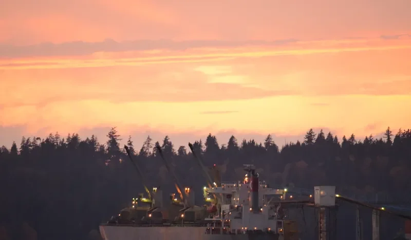 MAGIC PEARL Bulk Carrier IMO 9145683 photo 9