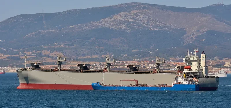 YILDIZLAR 2 Bulk Carrier IMO 9145695 photo 6