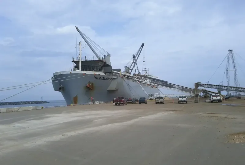 YILDIZLAR 2 Bulk Carrier IMO 9145695 photo 8