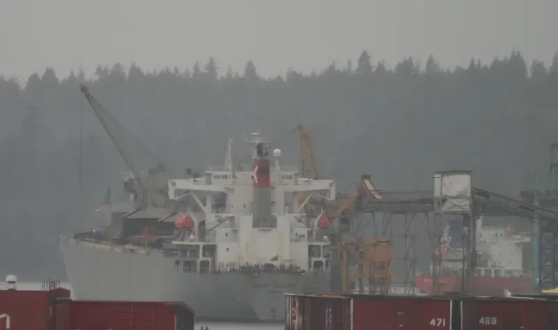 YILDIZLAR 2 Bulk Carrier IMO 9145695 photo 9