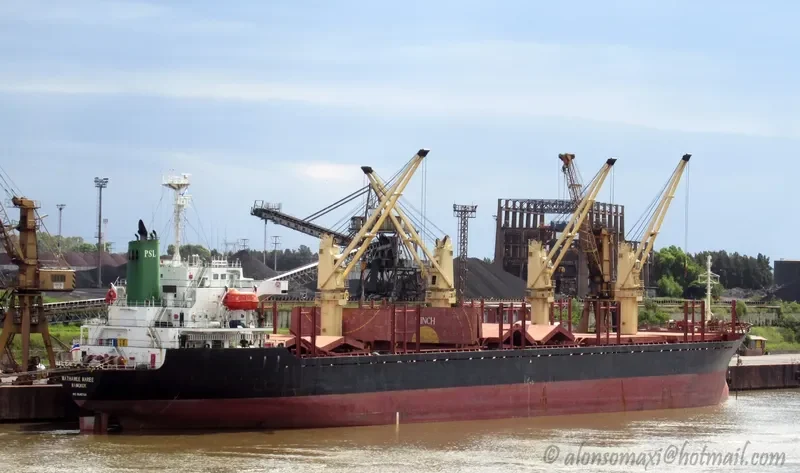MATHAWEE NAREE Bulk Carrier IMO 9145700 photo 3