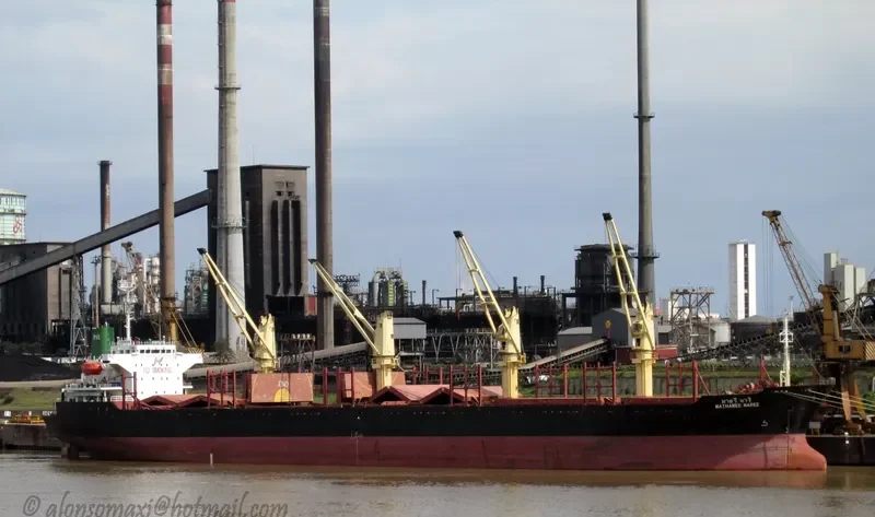 MATHAWEE NAREE Bulk Carrier IMO 9145700 photo 4