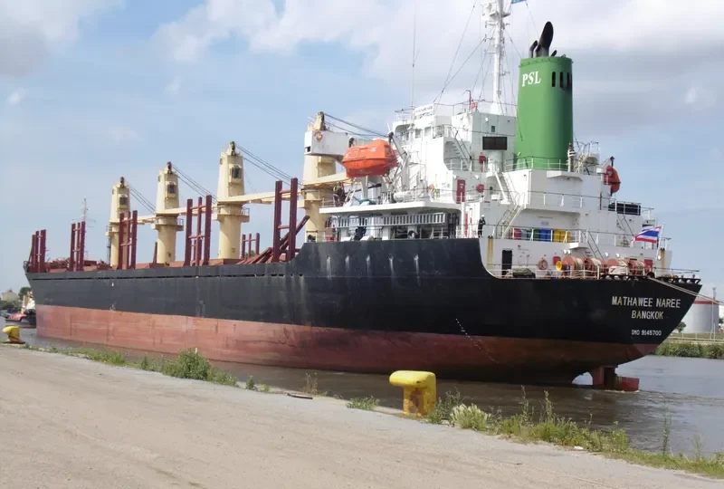 MATHAWEE NAREE Bulk Carrier IMO 9145700 photo 6