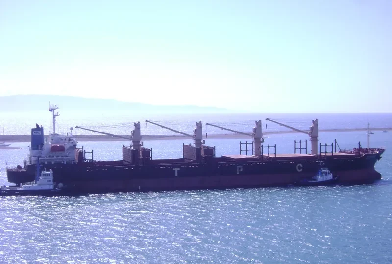 BAO NENG Bulk Carrier IMO 9145712 photo 6