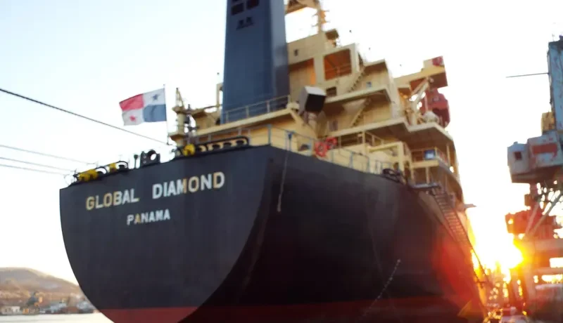 GLOBAL DIAMOND Bulk Carrier IMO 9145774 photo 3