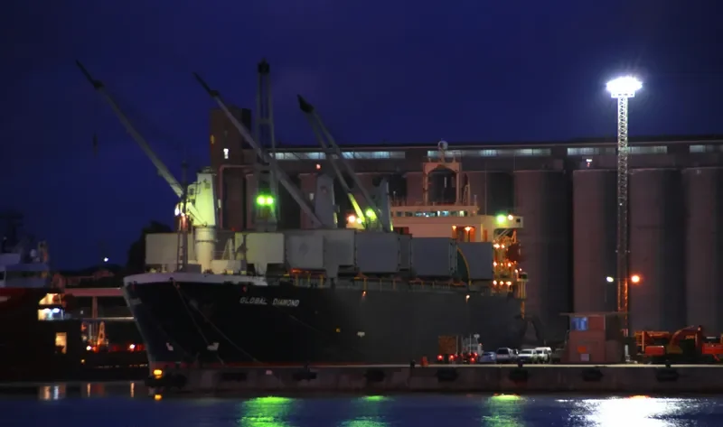 GLOBAL DIAMOND Bulk Carrier IMO 9145774 photo 5