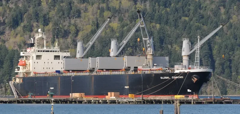 GLOBAL DIAMOND Bulk Carrier IMO 9145774 photo 7