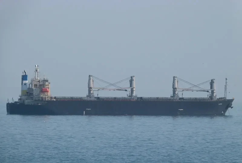LEROS I Bulk Carrier IMO 9145786