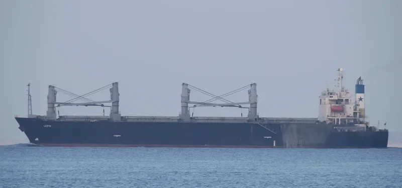 LEROS I Bulk Carrier IMO 9145786 photo 2