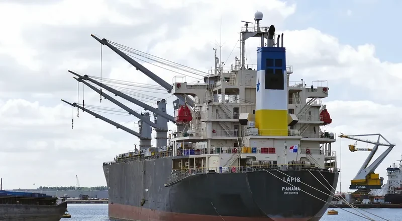 LEROS I Bulk Carrier IMO 9145786 photo 3