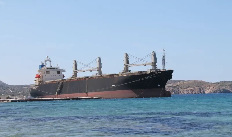 LEROS I Bulk Carrier IMO 9145786 photo 7