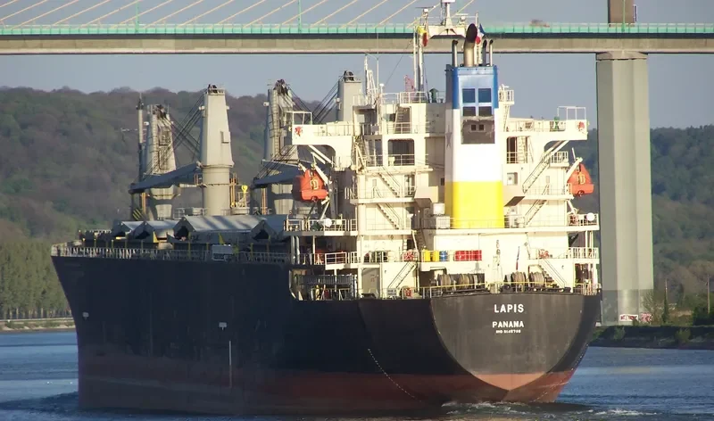 LEROS I Bulk Carrier IMO 9145786 photo 10