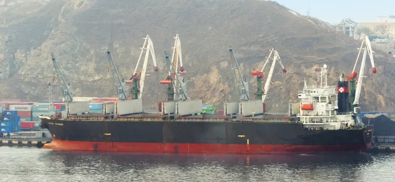 SEIYO PIONEER Bulk Carrier IMO 9145798 photo 3