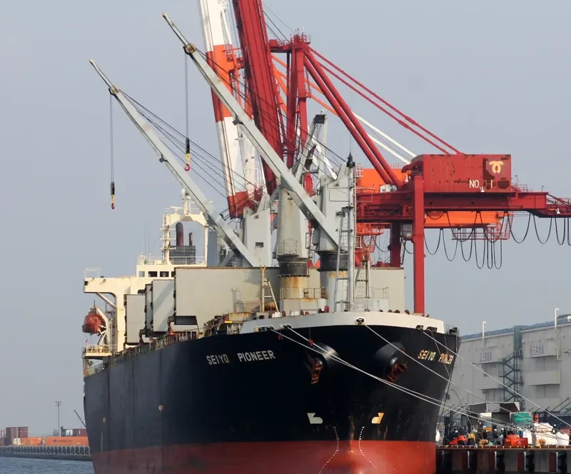 SEIYO PIONEER Bulk Carrier IMO 9145798 photo 7