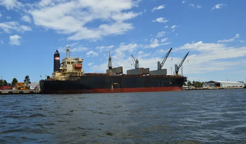 SEIYO PIONEER Bulk Carrier IMO 9145798 photo 9