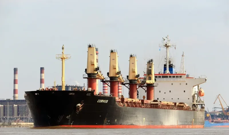 MIRABELLA Bulk Carrier IMO 9145889 photo 2