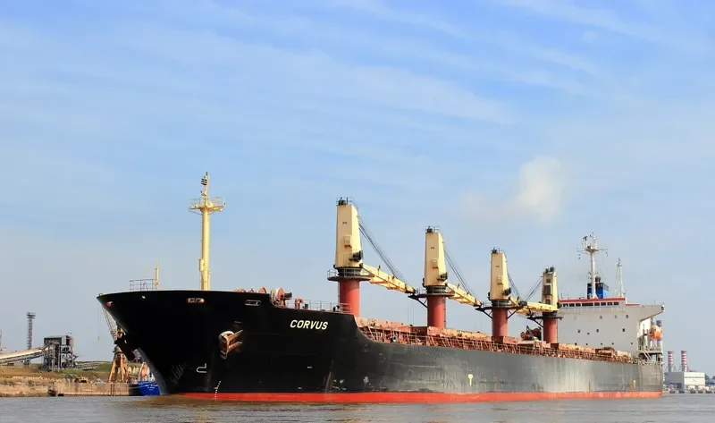MIRABELLA Bulk Carrier IMO 9145889 photo 4