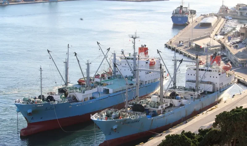 KURIKOMA General Cargo IMO 9145920