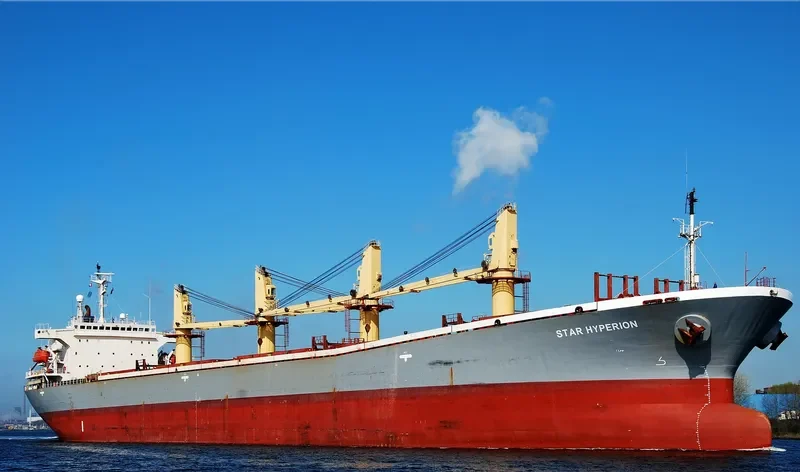 BR VICTORY Bulk Carrier IMO 9145956 photo 2