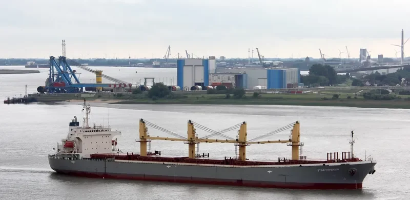 BR VICTORY Bulk Carrier IMO 9145956 photo 5