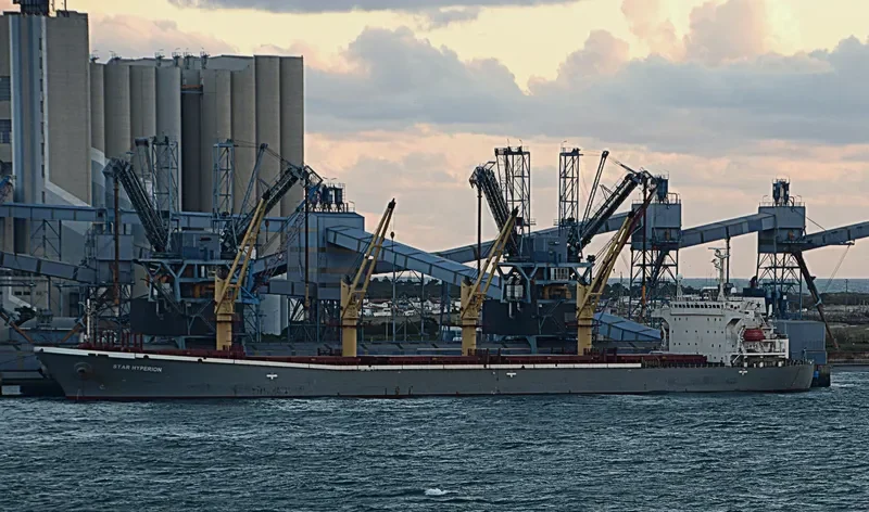 BR VICTORY Bulk Carrier IMO 9145956 photo 7