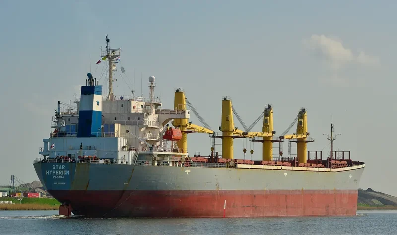 BR VICTORY Bulk Carrier IMO 9145956 photo 8