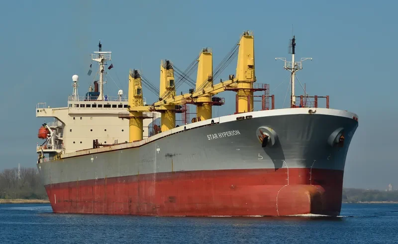 BR VICTORY Bulk Carrier IMO 9145956 photo 9