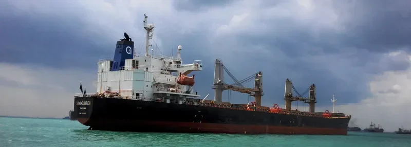 UNIORDER Bulk Carrier IMO 9145970 photo 3