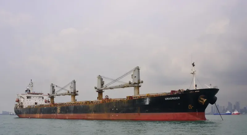 UNIORDER Bulk Carrier IMO 9145970 photo 6
