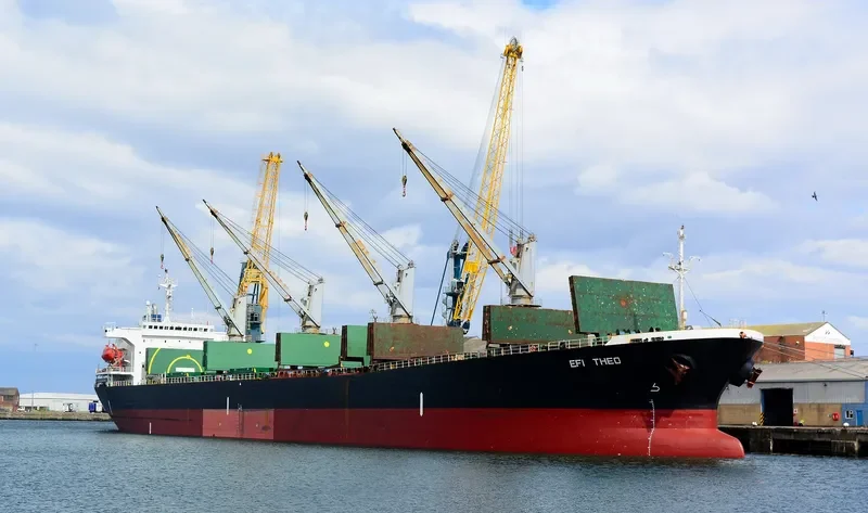 EFI THEO Bulk Carrier IMO 9145982 photo 2