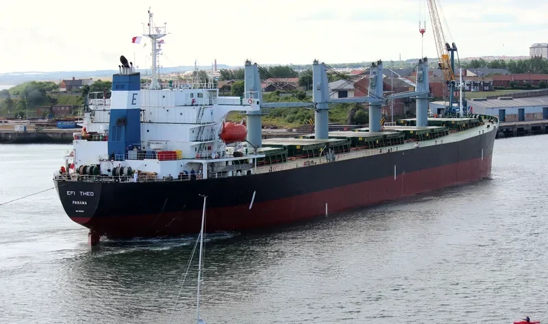 EFI THEO Bulk Carrier IMO 9145982 photo 7