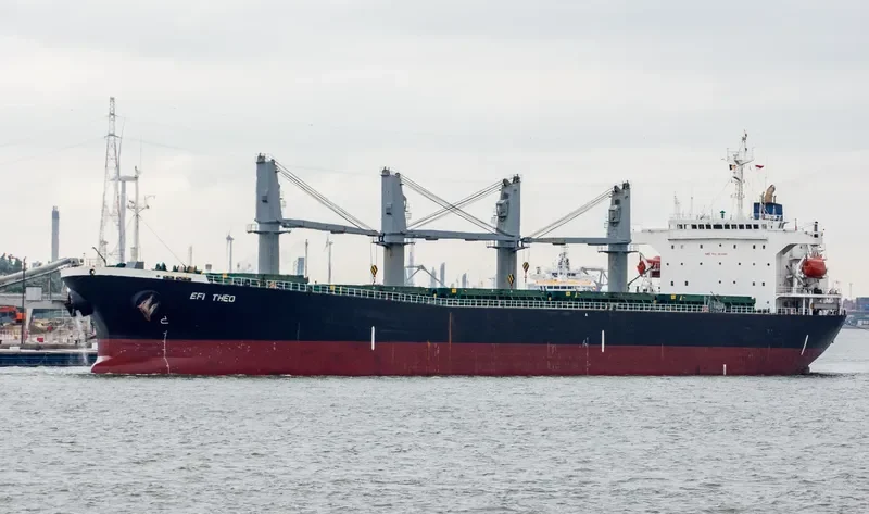 EFI THEO Bulk Carrier IMO 9145982 photo 8