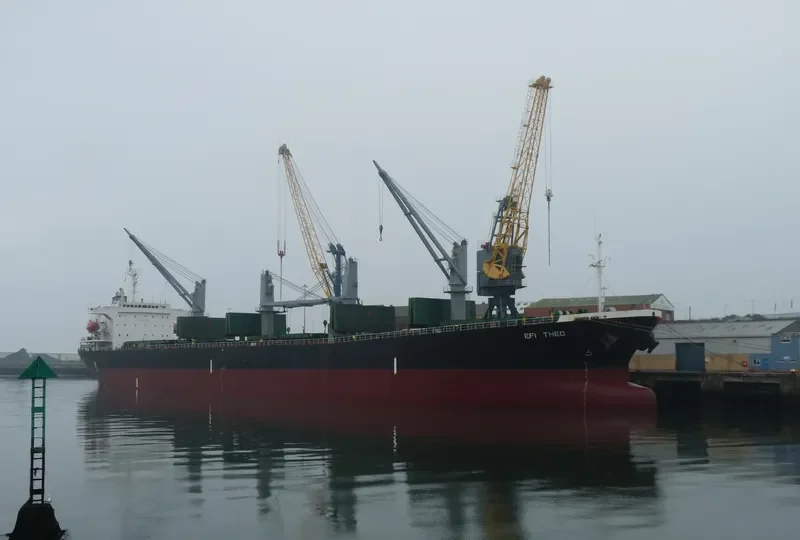 EFI THEO Bulk Carrier IMO 9145982 photo 10
