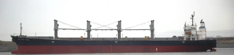 CONFIDENCE OCEAN Bulk Carrier IMO 9145994