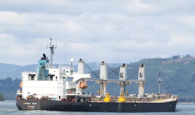 CONFIDENCE OCEAN Bulk Carrier IMO 9145994 photo 5