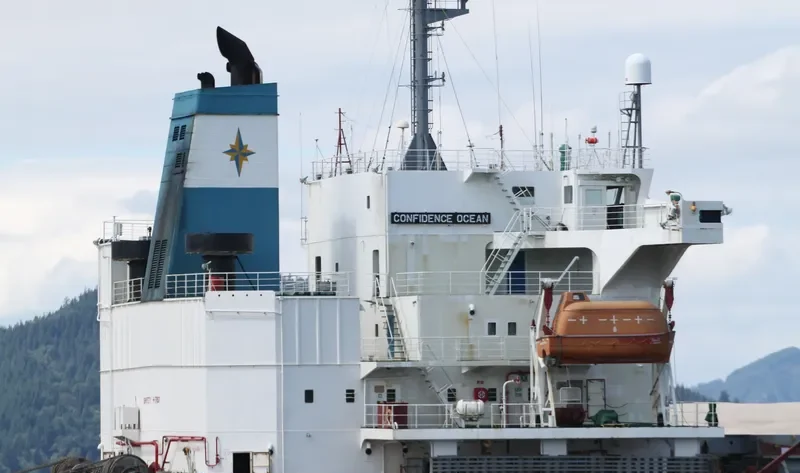 CONFIDENCE OCEAN Bulk Carrier IMO 9145994 photo 6