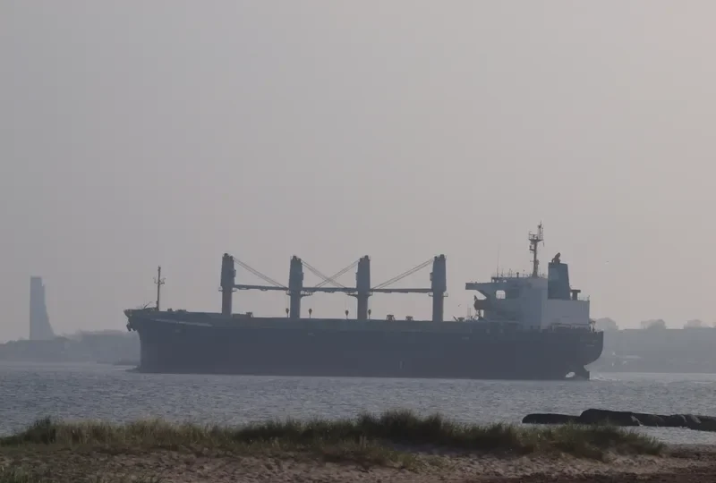 CONFIDENCE OCEAN Bulk Carrier IMO 9145994 photo 9