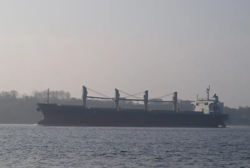 CONFIDENCE OCEAN Bulk Carrier IMO 9145994 photo 10