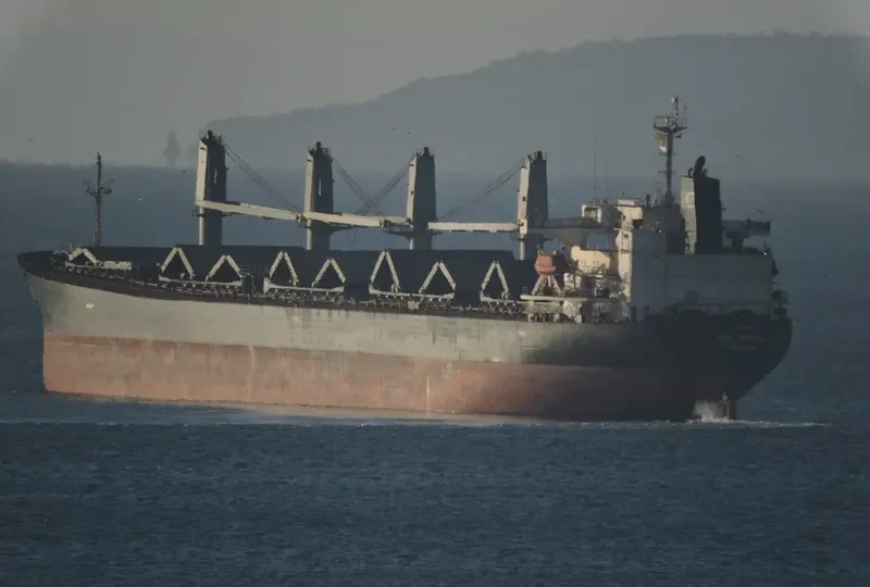 FUSHUN Bulk Carrier IMO 9146003 photo 3