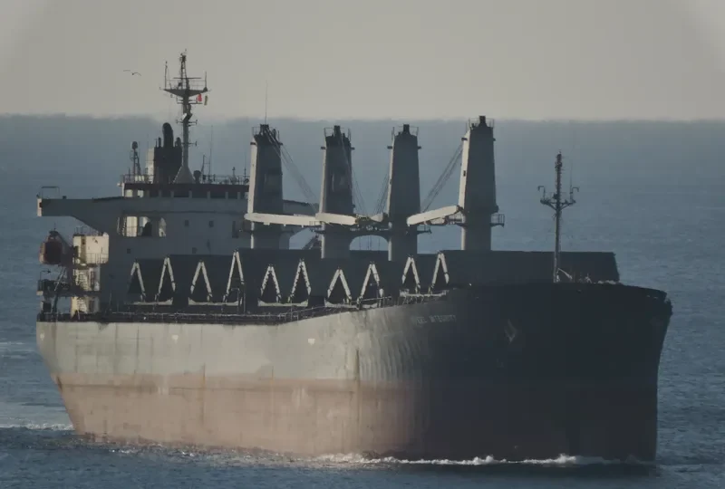 FUSHUN Bulk Carrier IMO 9146003 photo 4