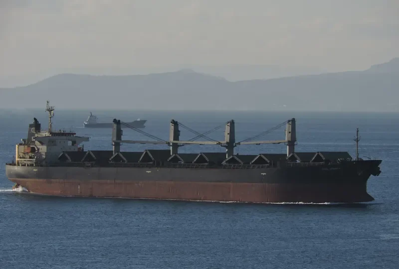 FUSHUN Bulk Carrier IMO 9146003 photo 5