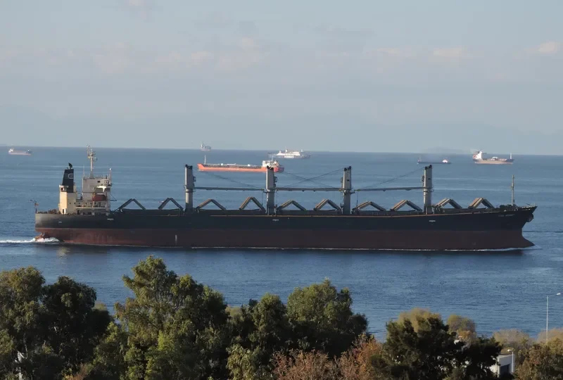 FUSHUN Bulk Carrier IMO 9146003 photo 6