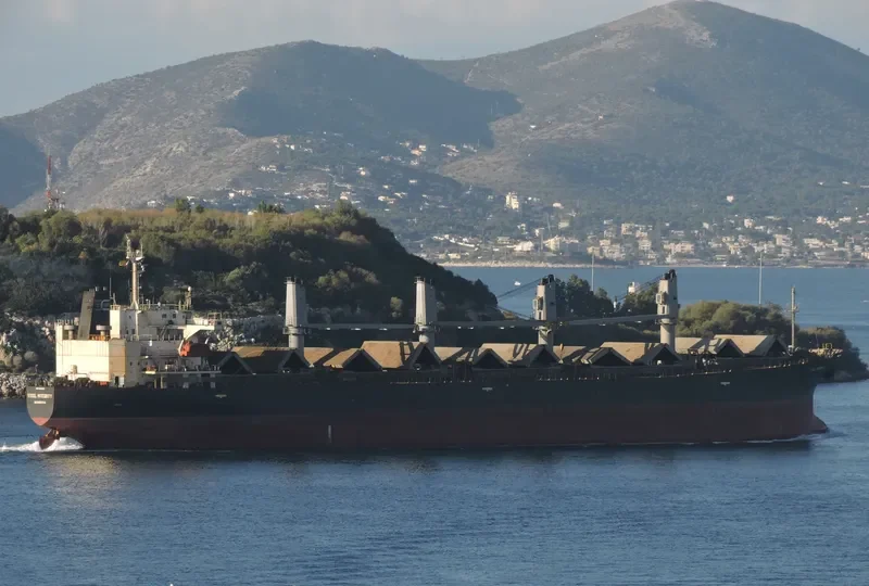 FUSHUN Bulk Carrier IMO 9146003 photo 7